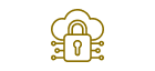 Data Security Icon